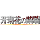 开菊花の柴瑞 (attack on titan)