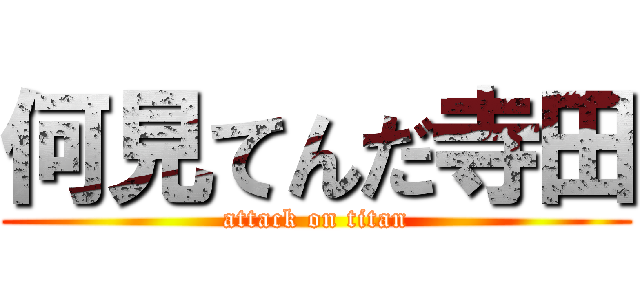 何見てんだ寺田 (attack on titan)