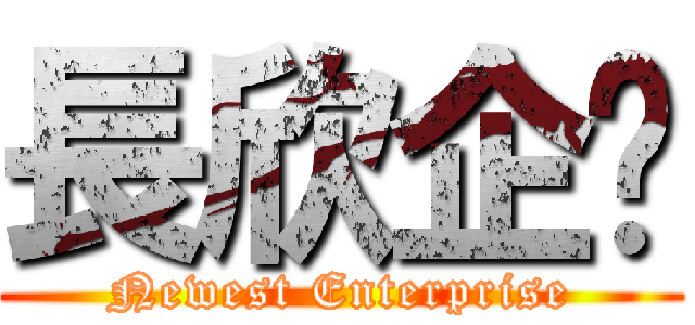 長欣企业 (Newest Enterprise)