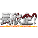 長欣企业 (Newest Enterprise)