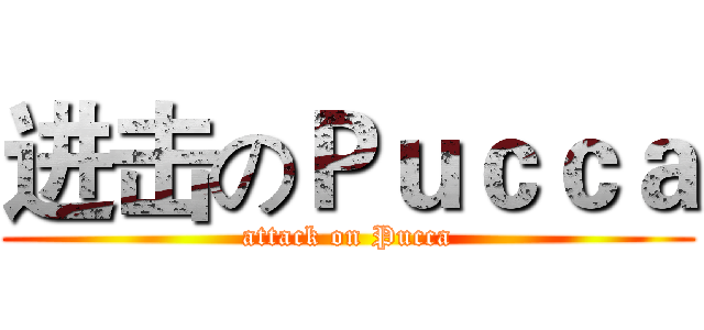 进击のＰｕｃｃａ (attack on Pucca)