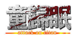童歸眠 (attack on titan)