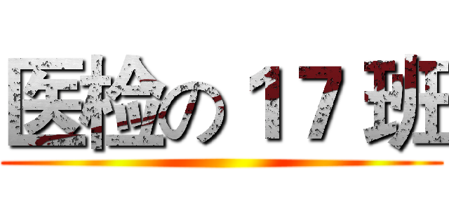 医检の１７ 班 ()