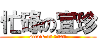 忙碌の宜珍 (attack on titan)