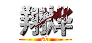 翔烨 (sb)