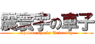 震寰宇の車子 (Chelsea shocks Unversity)