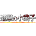 進撃の小胡子 (attack on 小胡子)