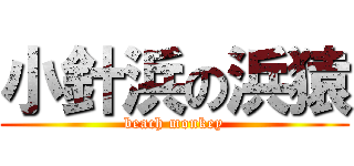 小針浜の浜猿 (beach monkey)