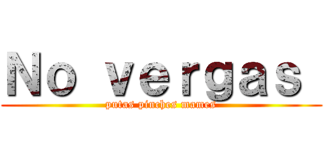 Ｎｏ ｖｅｒｇａｓ  (putas pinches mames)