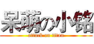 呆萌の小铭 (attack on titan)