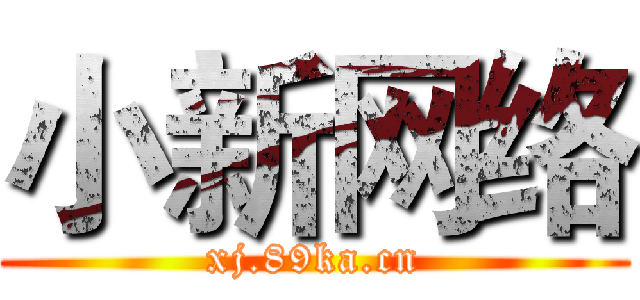 小新网络 (xj.89ka.cn)