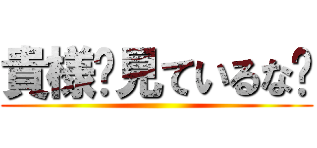 貴様‼見ているな‼ ()