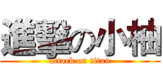 進擊の小柚 (attack on titan)
