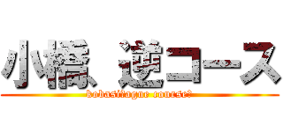 小橋、逆コース (kobasi！ague course！)