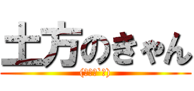 土方のきゃん ((இ௰இ`｡))