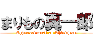 まりもの真一郎 (Spherical moss on Shinichiro)