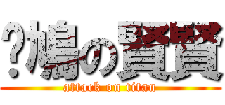 戇鳩の賢賢 (attack on titan)