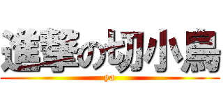 進撃の切小鳥 (ya)