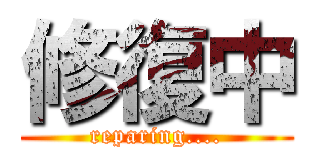 修復中 (reparing....)