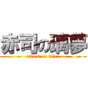 赤司の璃夢 (attack on titan)