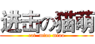 进击の猫萌 (cat  miao miao)