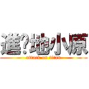 進擊地小原 (attack on titan)