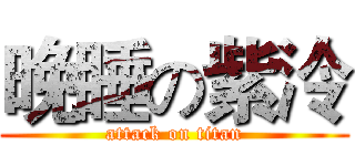 晚睡の紫泠 (attack on titan)