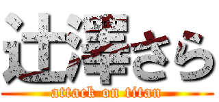 辻澤さら (attack on titan)