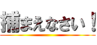 捕まえなさい！ ()