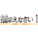 捕まえなさい！ ()