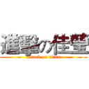 進擊の佳瑩 (attack on titan)