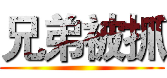 兄弟被抓 ()