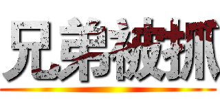 兄弟被抓 ()