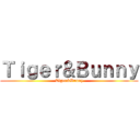 Ｔｉｇｅｒ＆Ｂｕｎｎｙ (Tiger&Bunny)