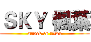 ＳＫＹ 楓葉 (attack on titan)