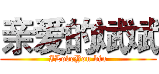 亲爱的斌斌 (ILoveYou bin)
