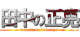 田中の正亮 (maasa no dodonpa)