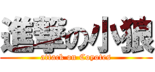 進撃の小狼 (attack on Coyotes)