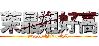 茉晶姐好高 (mogin is too tall)