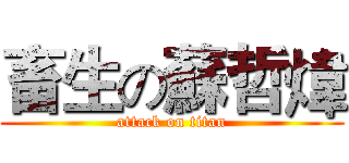 畜生の蘇哲煒 (attack on titan)