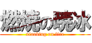燃焼の暁冰 (xiaobing on fire)