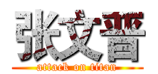 张文晋 (attack on titan)