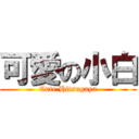 可愛の小白 (Cute Hitsugaya)