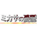 ミカサの憂鬱 ()