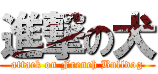 進撃の犬 (attack on French Bulldog)