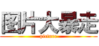 图片大暴走 (picture)