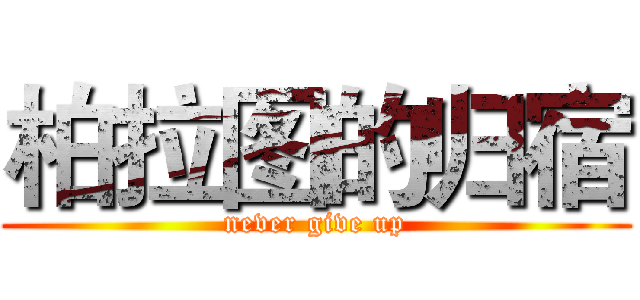 柏拉图的归宿 (never give up)