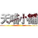 天喵小舖 (強勢來襲!)