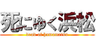 死にゆく浜松 (dead of hamamatsu)