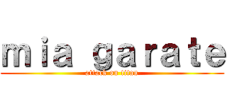 ｍｉａ ｇａｒａｔｅ (attack on titan)